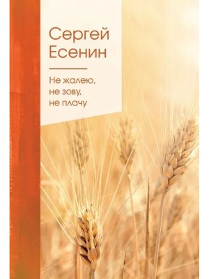 Не жалею не зову не плачу ЗСП