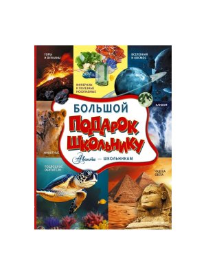 Большой подарок школьнику