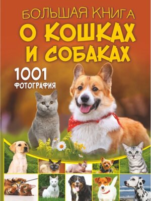 Бол книга о кошках и собаках 1001 фотография