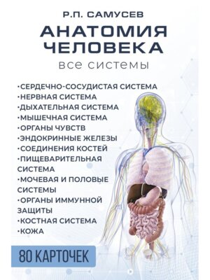 Анатомия человека 80 карточек Все системы