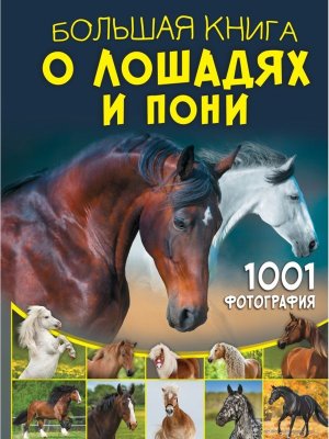 Большая книга о лошадях и пони 1001 фотография