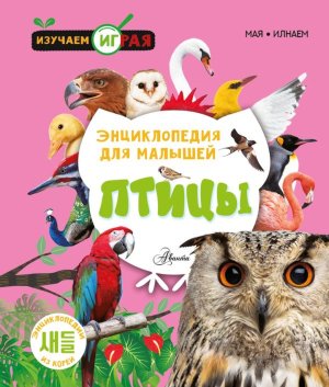 Птицы Энц для малышей