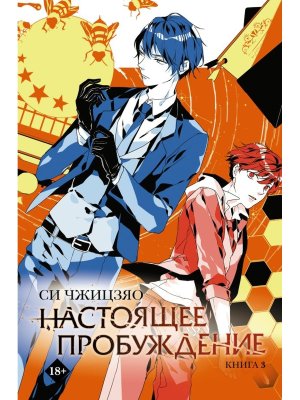 Настоящее пробуждение Кн 3