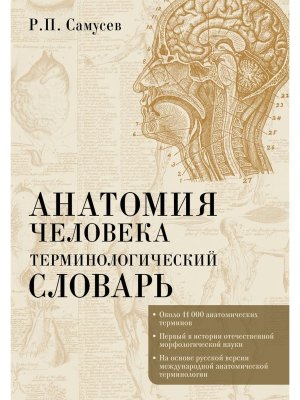 Анатомия человека Терминологический словарь