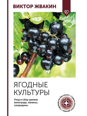Ягодные культуры Уход и сбор урожая винограда малины смородины Мягк