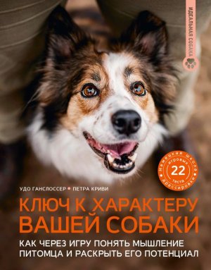 Ключ к характеру вашей собаки Как через игру понять мышление питомца и раскрыть его потенциал