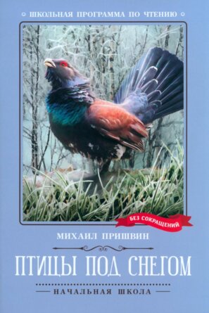 Птицы под снегом Рассказы ШП