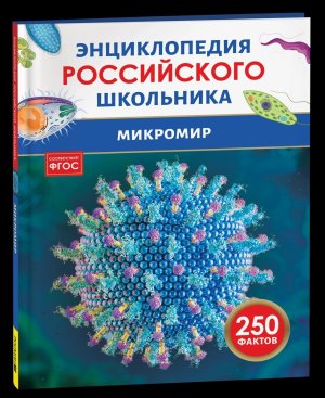 Микромир Энц российского школьника