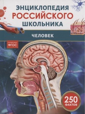 Человек Энц российского школьника