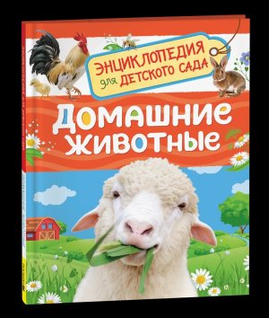 Домашние животные Энц для детского сада