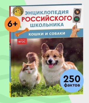 Кошки и собаки Энц российского школьника
