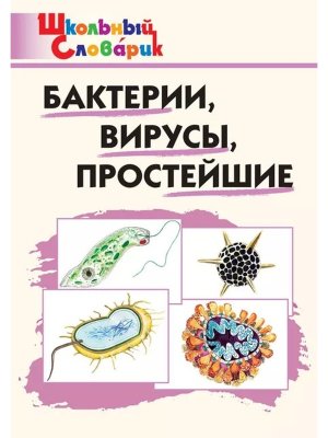 *ШС Бактерии вирусы простейшие