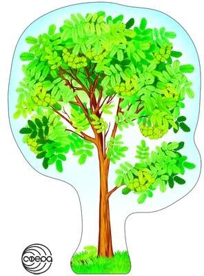 Плакат фигурный Рябина Ф-8733