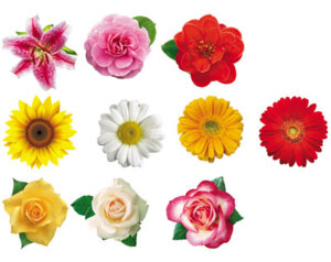 Комп фигурных украшений Цветы 10шт КМ-7996 (15010)