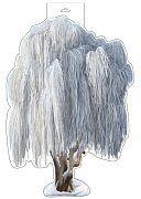 Плакат фигурный Ива зимняя Ф-15833