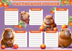Расписание уроков Капибары