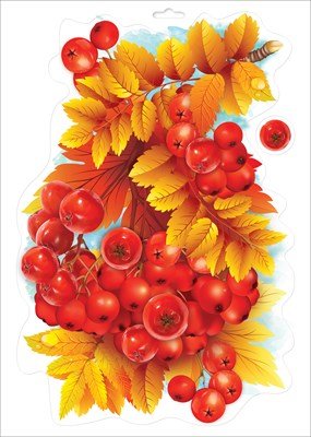 Оформительская наклейка Осенняя рябина