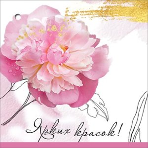 Бирка двойная Ярких красок