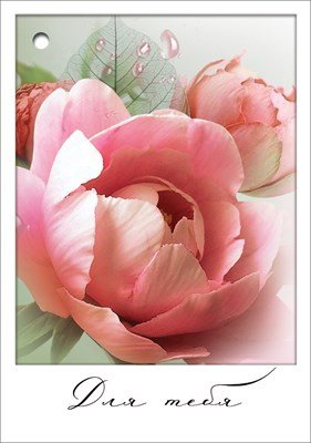 Бирка Для тебя жен