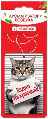 Ароматизатор воздуха Чёрный лёд 5.0001304