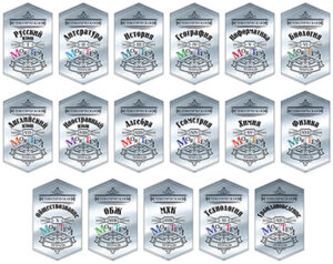 Набор наклеек для темат тетр 7-8 класса 17 предм С5958