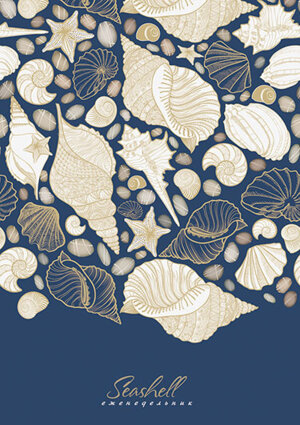 Еженедельник  96стр недатир А5 Ракушки С1393-61