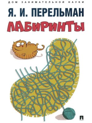 Лабиринты Дом занимательной науки