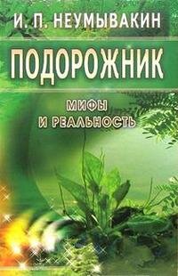Подорожник Мифы и реальность Мягк
