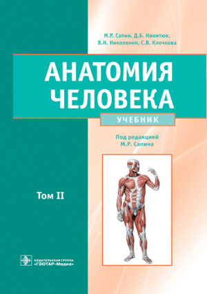 Анатомия человека в 2 т Т2