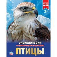 Умка Птицы Энц А4