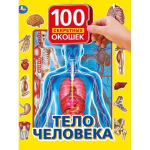 Умка Тело человека 100 окошек для малышей А4