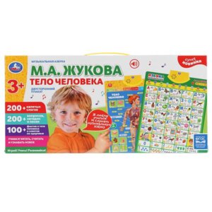 Умка Плакат Тело человека Азбука Жукова двухстор