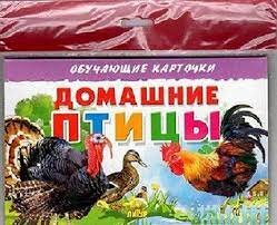Карточки Домашние птицы
