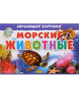 Карточки Морские животные