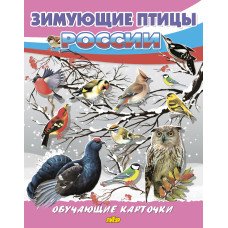 Обучающие карточки Зимующие птицы России