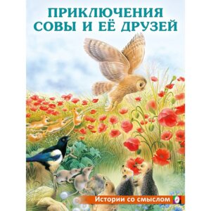 ДС Фламинго Приключения совы и ее друзей ИС