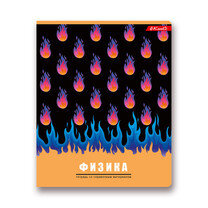 Тетрадь предм 48л Клетка Физика Разные Интересы 48ТСК5_000155