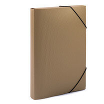 Папка на резинке A4 600мкм 35мм Expert Complete PRISMA Золотая EC210400028