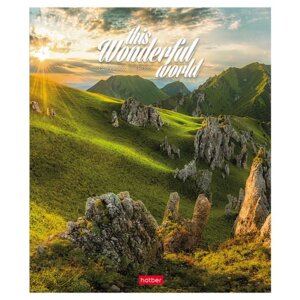 Тетрадь  96л Линия Удивительный мир 96Т5В2