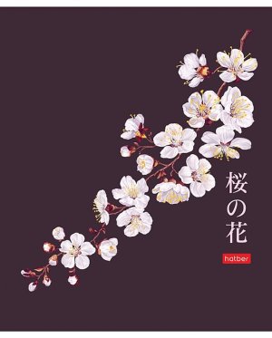 Тетрадь  48л Клетка Пластик обл с печатью тиснение MIX 48Т5В1пл