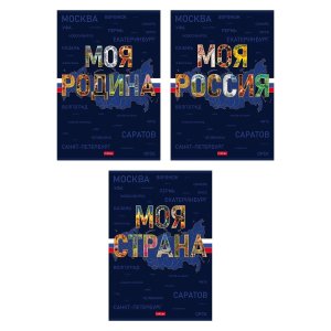 Тетрадь  96л А4 клетка Моя страна СОФТ ТАЧ в асс 96Т4лВ1