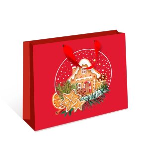 1320.594 Бумажный пакет стандарт плюс Пряничный домик НГ