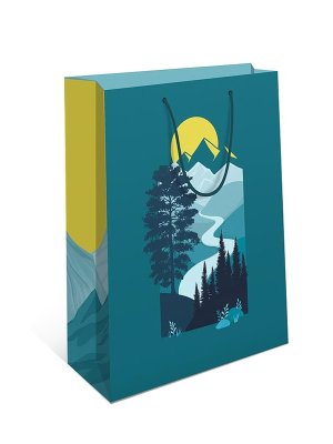 0195.238 Бумажный пакет Дорога