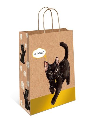 0397.669 Бумажный пакет крафт Че купила