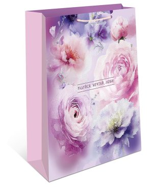 0192.812 Бумажный пакет Радуйся Мечтай Люби