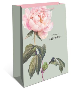 0192.931 Бумажный пакет С пожеланием счастья