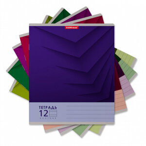 Тетрадь  12л Линия Duotone Next асс 56295