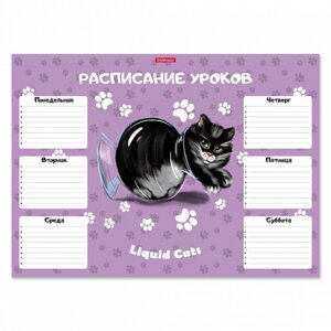 Расписание уроков А3 Жидкие коты 001030100-58299
