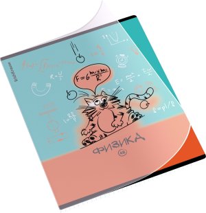 Тетрадь предм 48л Клетка с пластик обл Котоформулы Физика 59508