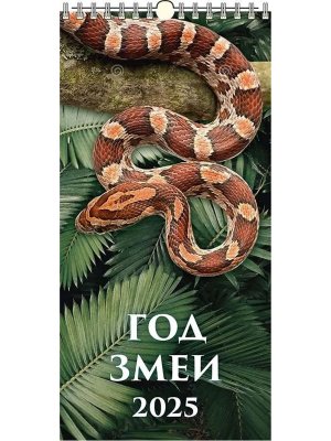 Кал 2025 Настен Перекид Год Змеи Вид 2 с ригелем 165*335